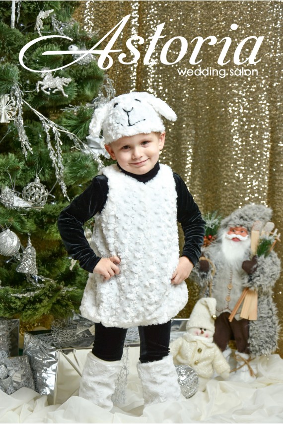 Барашек Шон